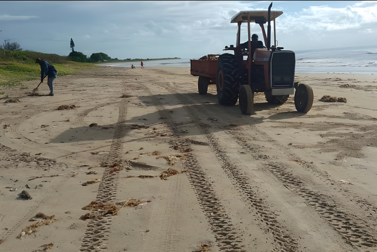 WhatsApp Image 2025 03 06 at 12.22.00 PM