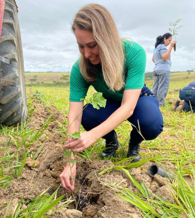Dia da Mata Atlântica: plantio de mudas e reunião do conselho na EEEG