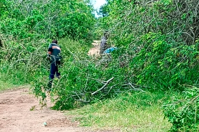 Secretaria de Obras realiza podas de árvores em rotas escolares