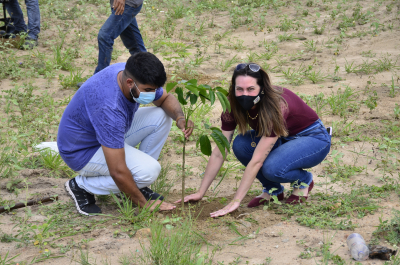Plantio de mudas nativas na área central na véspera do Dia da Árvore