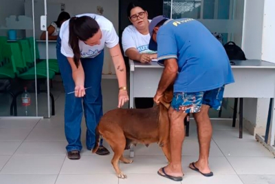 Mutirão de Vacinação Antirrábica imunizou cerca de 8 mil cães e gatos