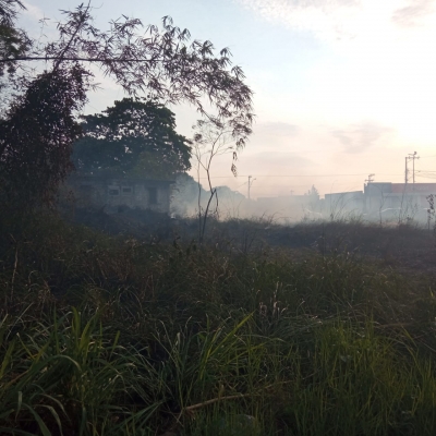 Ação da Defesa Civil e Guarda Ambiental combate fogo na área central