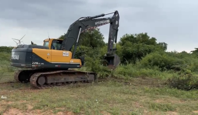 Retirada de vegetação invasora avança e chega à praia de Gargaú