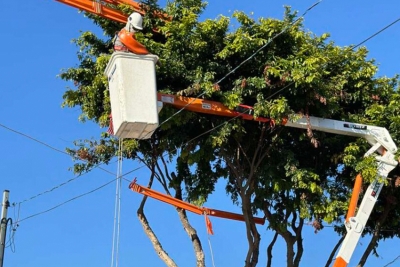 Prefeitura alerta população sobre podas irregulares feitas pela Enel