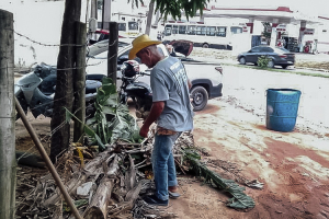 Mutirão de limpeza segue com trabalhos na área central