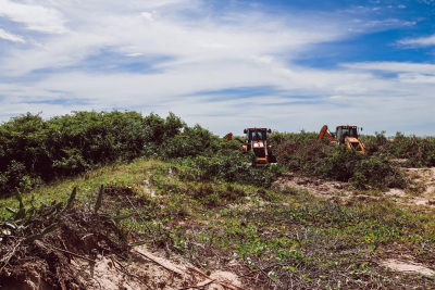 Controle e manejo de vegetação exótica avançam na orla de Santa Clara