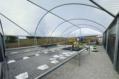 Comunidade de Deserto Feliz recebe estufa de alta tecnologia