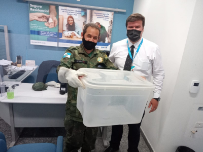 Sema resgata mais 4 animais silvestres em locais distintos