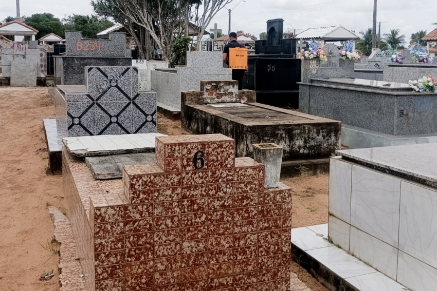 Cemitérios do município passam por dedetização