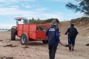 Força-tarefa da prefeitura recolhe mais de 100 toneladas de lixo no litoral de São Francisco