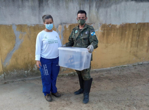 Sema resgata fragata em Lagoa dos Paus