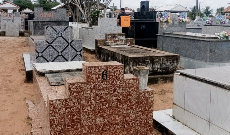 Cemitérios do município passam por dedetização