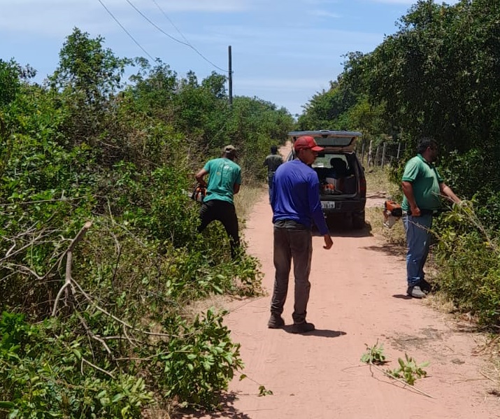 Patrolamento e poda de árvores Estrada Lagoa Barra do Itabapoana 3