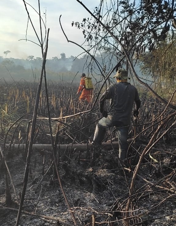 Prefeitura auxilia no combate à queimada na Estação Ecológica Estadual de Guaxindiba Divulgação 3