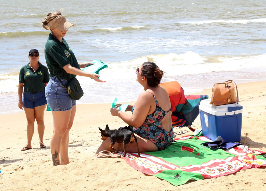distribuição ecobags