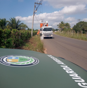 Guarda Ambiental resgata nove animais silvestres