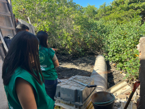 Operação conjunta notifica morador por degradar Área de Preservação Permanente