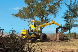 Praia de Tatagiba recebe, pela primeira vez, ação de retirada de vegetação invasora