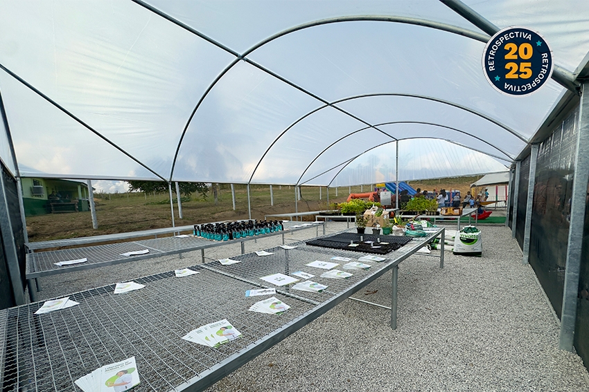 Agricultura em 2025: um ano de avanços, parcerias e resultados