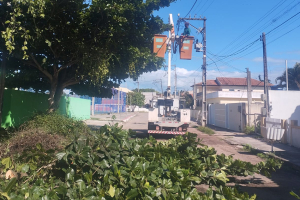 Equipe da Secretaria de Meio Ambiente realiza poda de árvores e limpeza em Barra do Itabapoana