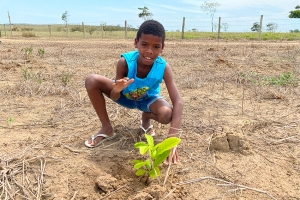 Dia da Árvore é celebrado com plantio de espécies nativas na Estação Ecológica de Guaxindiba