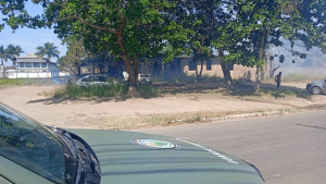 Em uma semana, Guarda Ambiental controla nove queimadas