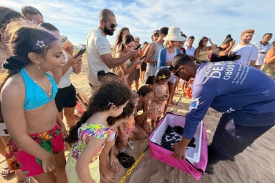 Soltura de tartarugas encanta moradores e turistas em Santa Clara