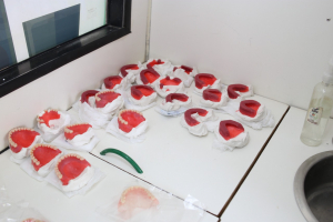 Projeto “Sorriso e Vida” realiza os primeiros atendimentos de 2023