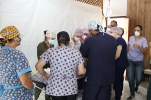 1º Mutirão de Castração de animais de pequeno porte