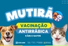 SFI vai realizar Mutirão de Vacinação Antirrábica