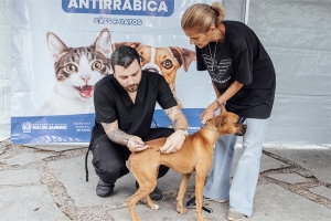 Seis localidades recebem Mutirão de Vacinação Antirrábica neste sábado (08)