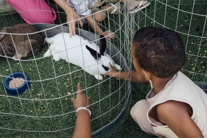 "Rancho Terapia": uma experiência sensorial para crianças com TEA