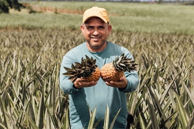 São Francisco de Itabapoana se destaca na agricultura familiar