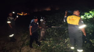 Ações integradas de órgãos da prefeitura e Corpo de Bombeiros apagam 3 incêndios em áreas de vegetação