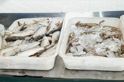 2ª Feira de Pescado é destaque entre moradores e comerciantes