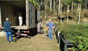 Educação ambiental: SFI recebe doação de mil mudas do Inea